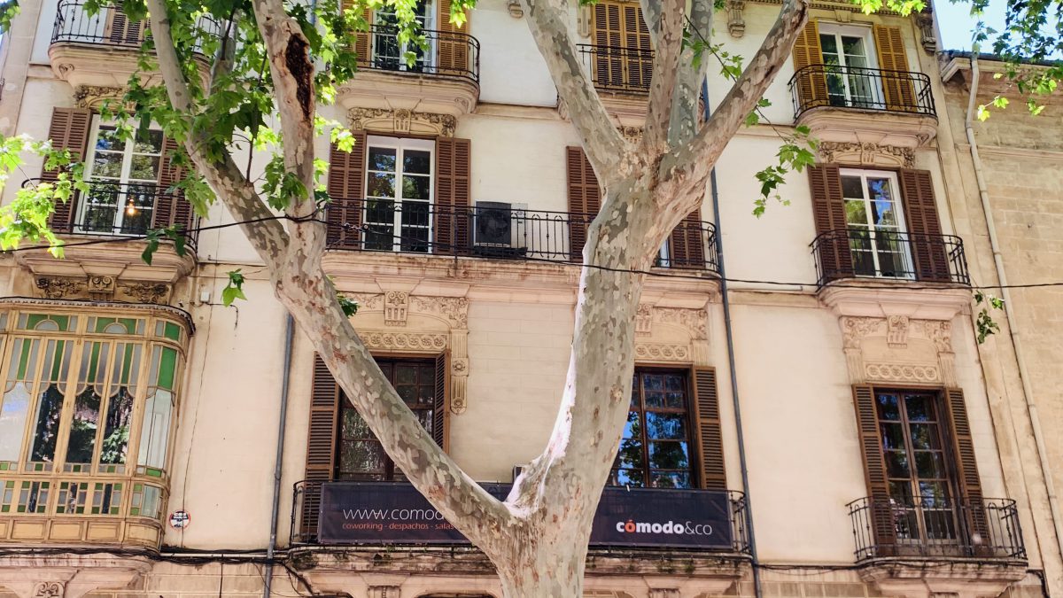 Comodo –  wunderschönes Coworkingspace mitten in Palma